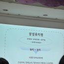 삼성유치원 | 분당 삼성유치원 입학설명회 / 교육철학부터 커리큘럼까지 솔직 후기