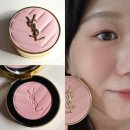 사르륵 물드는 복숭아빛 생기 치크 입생로랑 파우더 블러쉬 68페퍼리 로즈 내돈내산