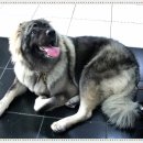 백두동물병원 이미지