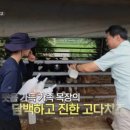 선애목장 네이버블로그