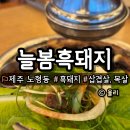생생제주생고기 | [제주 고기맛집] 늘봄흑돼지 | 한 상 가득 쫄깃한 흑돼지 맛집