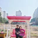 일심유치원 이미지
