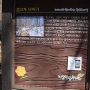 옥녀봉 전망대 이미지