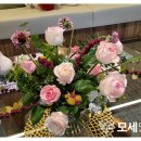 모세마취통증의학과의원 이미지