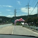 복숭아독채펜션 네이버블로그