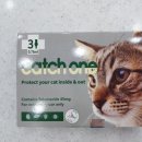 울산현대약국 이미지