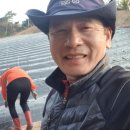 창수의 아침 이미지