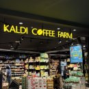 [일본 도쿄 칼디]KALDI 시부야점_ 쇼핑리스트 추천템(퀸아망,명란,메론빵스프레드,레모네이드 포션후기)
