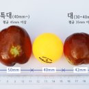 무릉도원신선농원