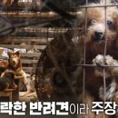 두식농장 이미지