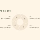 고려스포츠 이미지