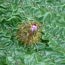 해평 금호리 이미지