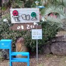 서귀포여자고등학교 이미지