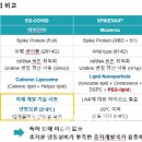 조양제 이미지
