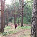 삼척활기자연휴양림 이미지