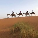 사하라관광호텔 이미지