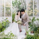 스튜디오설렘 이미지