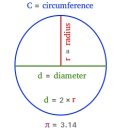 한국식 투망 규격(둘레 : circumference) 단위 : 발(150cm) 이미지