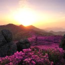 보성마트앞