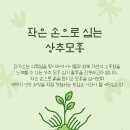 유진어린이집 이미지