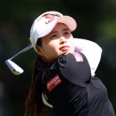 (주)다나코리아 이미지