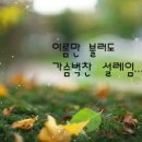 다시사랑 Daum카페