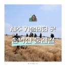 송악산 숲길 | 제주 가볼만한 곳 송악산둘레길 걷기 주차장 소요시간