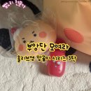 영컬렉션 | 올리브영 망곰이 컬렉션 3탄(마지막후기)