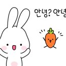 카페델꼬또네 이미지