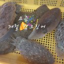 천금호