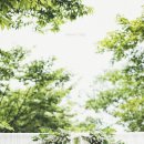 스튜디오블루닷
