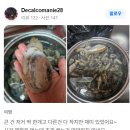 종현농어촌체험휴양마을 이미지