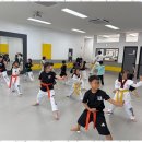 드림태권도장 이미지