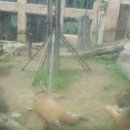 임마누엘의집 이미지