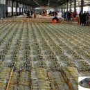 서남젓갈 네이버블로그