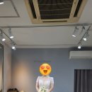 머메이드 | [결혼준비 63.] 아뜨레블랑 머메이드 드레스 후기