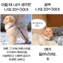 양화로 50 합정역 5번 출구 앞 | 합정역 고기집 신김치생삼겹살 내돈내산 찐 삼겹살 맛집 후기