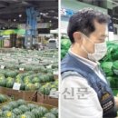 대성농산 이미지