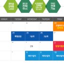 노르웨이숲 이미지