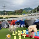 대박펫살롱 | 남양주 대형 애견카페 추천 | 넓은 운동장과 수영장이 있어서 하루종일 놀기 좋은 카페인퀸스