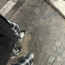 제일팜마트 이미지