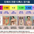 뷰티다이어트