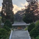 원덕리도 | 대흥사