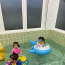 티마루하우스 | [강릉 독채키즈펜션 티마루하우스] 아이도 좋고, 어른도 좋고,