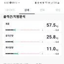 건강더함 바른운동센터 이미지