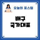 오병우외국어번역사무소 | 오드리 박 귀화 추진과 한국배구의 미래 변천