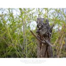 이목농원 이미지