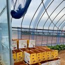 신현농장 이미지