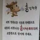 홍성한우클러스터사업단 이미지