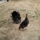 우정가든 이미지